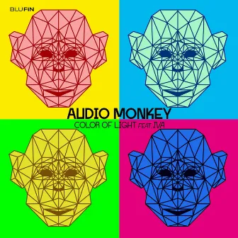 Color of Light by Audio Monkey