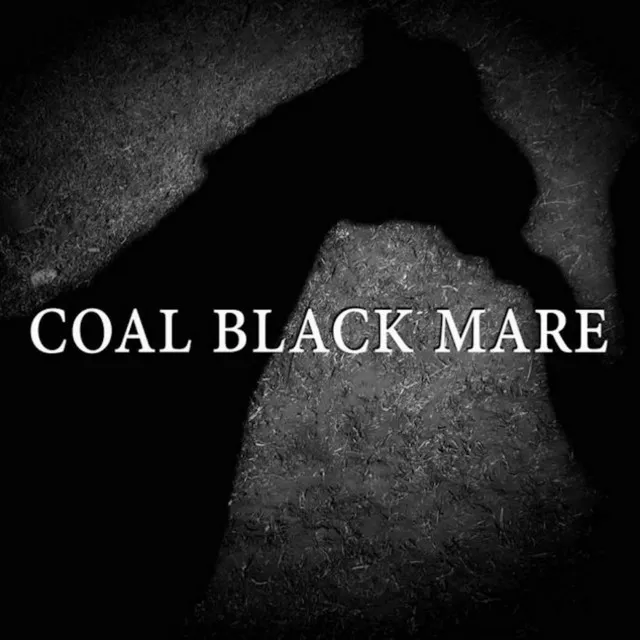 Coal Black Mare