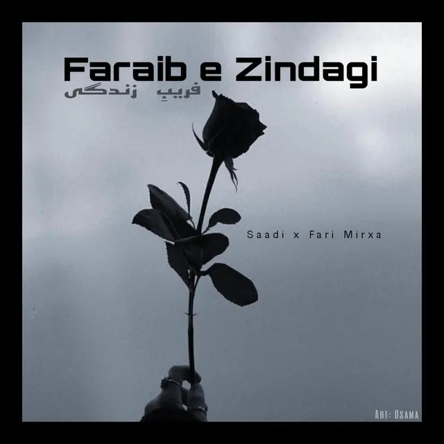 Faraib e Zindagi