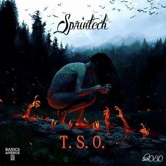 T.S.O. by Sprintech