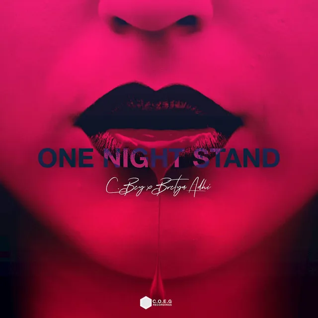 One Night Stand