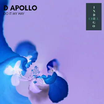 Do It My Way by D Apollo