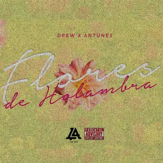 Flores de Holambra by Antunes MC