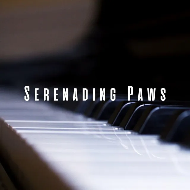 Serenading Paws: Meditative Piano for Beloved Pets