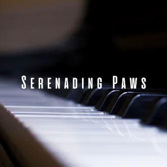 Serenading Paws: Meditative Piano for Beloved Pets by One Audience Piano