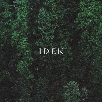 IDEK by Danny London