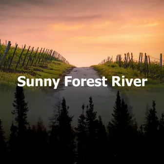 Sunny Forest River by Nature Radiance