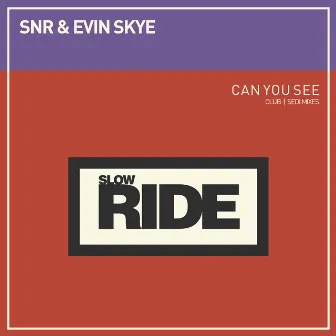 Can You See by Evin Skye