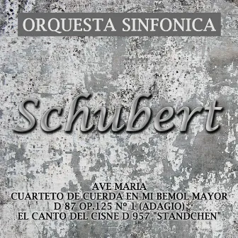 Clásica-Schubert by Orquesta Sinfonica