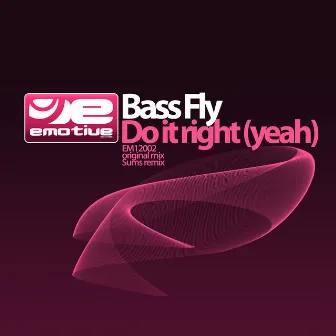 Do it right (yeah) by Bass Fly