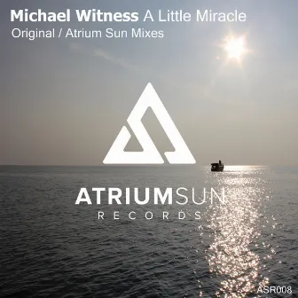 A Little Miracle by Michael Witness