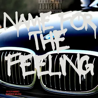 Name For The Feeling by B1GFAMMO