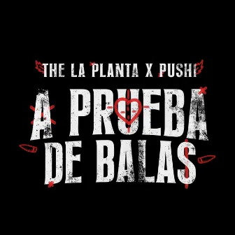 A PRUEBA DE BALAS by Pushi