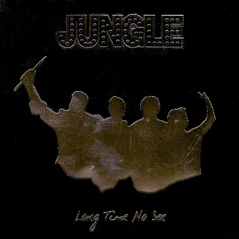 Long Time No See by Jungle