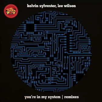 You're In My System (Remixes) by Kelvin Sylvester