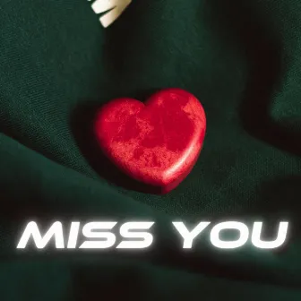 Miss You by Dj Meetha