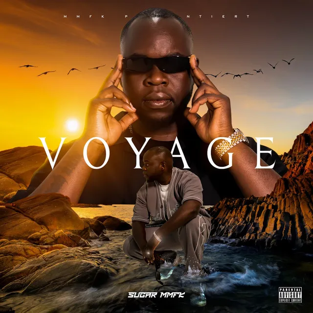 Voyage