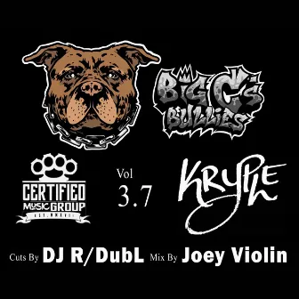 Bully Cypher Vol 3.7 by Big C's Bullies