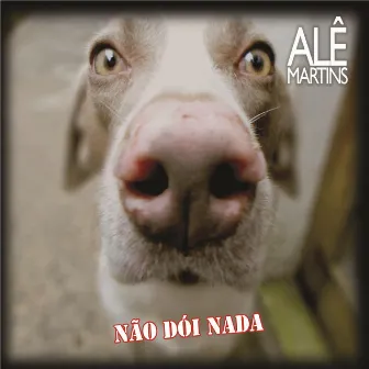 Não Dói Nada by Alê Martins