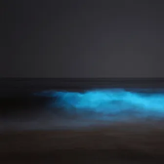 Bioluminescence by Unknown Artist