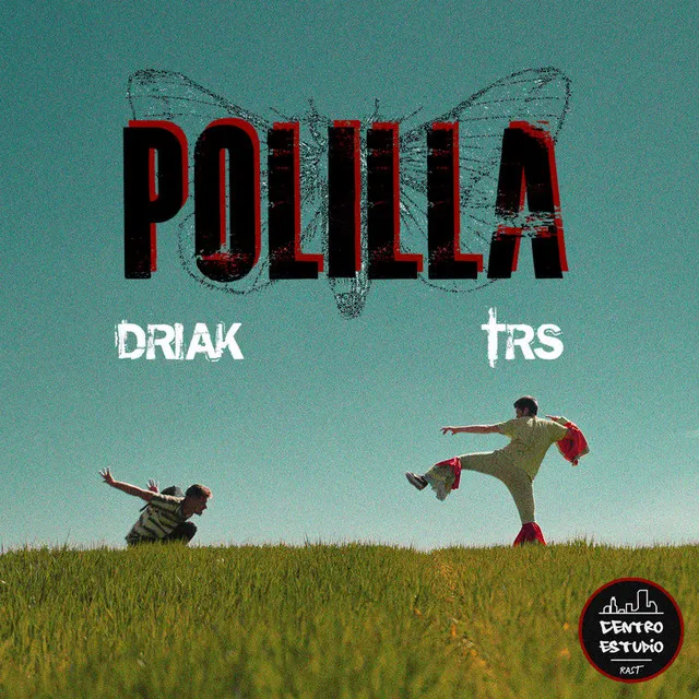 Polilla