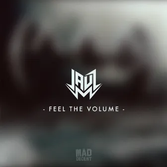 Feel The Volume by Jauz