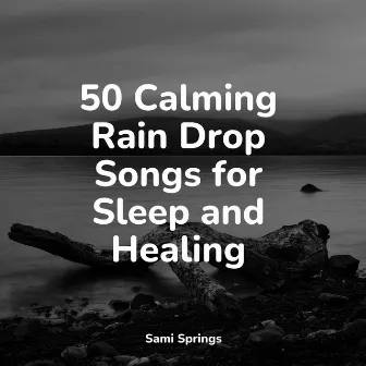 50 Calming Rain Drop Songs for Sleep and Healing by Easy Sleep Music