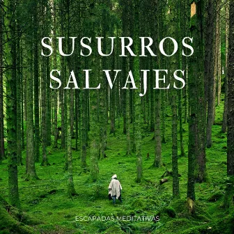 Susurros Salvajes: Escapadas Meditativas by Música instrumental cristiana para guitarra