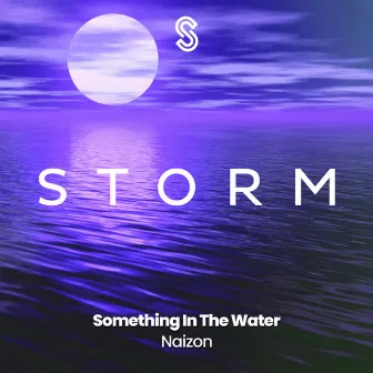 Something In The Water by Naizon