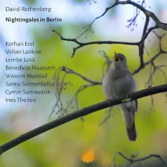 Nightingales in Berlin by David Rothenberg