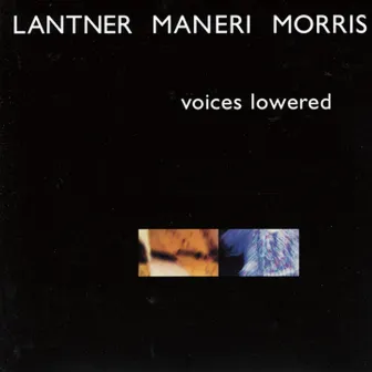 Voices Lowered by Joe Maneri