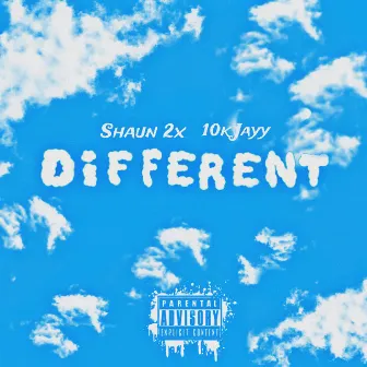 Different by Shaun 2x