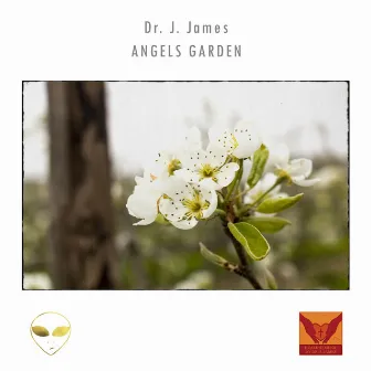 Angels Garden by Dr. J. James