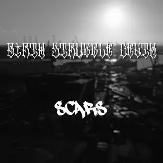 Scars by Birth Struggle Death