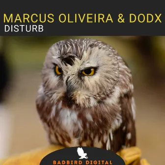 Disturb by Marcus Oliveira