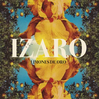 Limones de Oro by IZARO