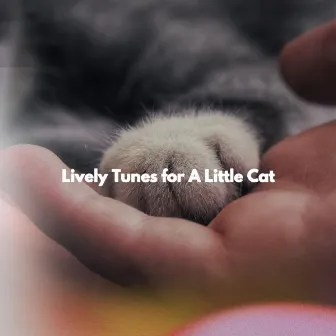 Lively Tunes for A Little Cat by Cafe Musique Francaise