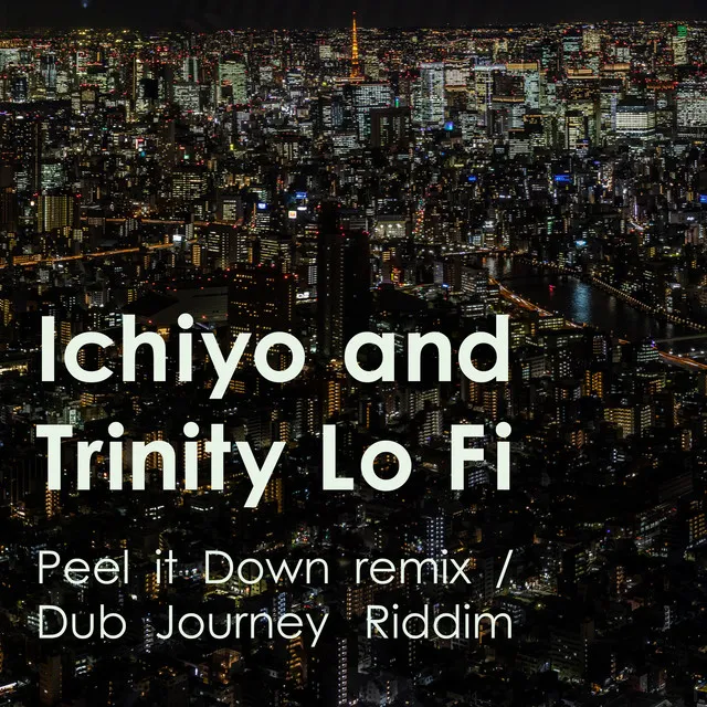 Peel It Down Remix - Dub Journey Riddim