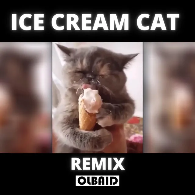 Ice Cream Cat - Remix