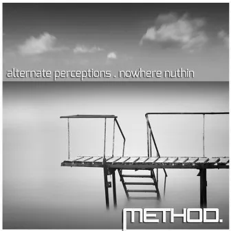 Nowhere Nuthin by Alternate Perceptions