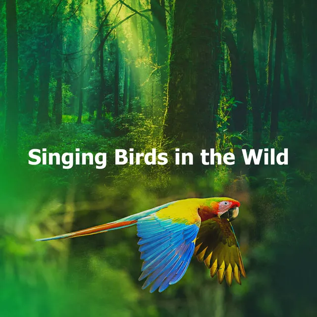 Singing Birds in the Wild