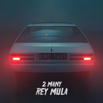 2 Many by Rey Mula