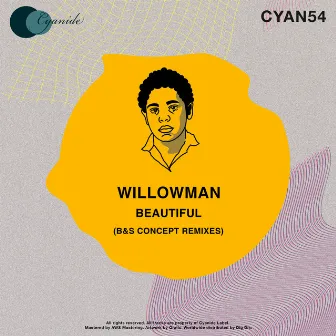 Beautiful (B&S Concept Remixes) by WillowMan