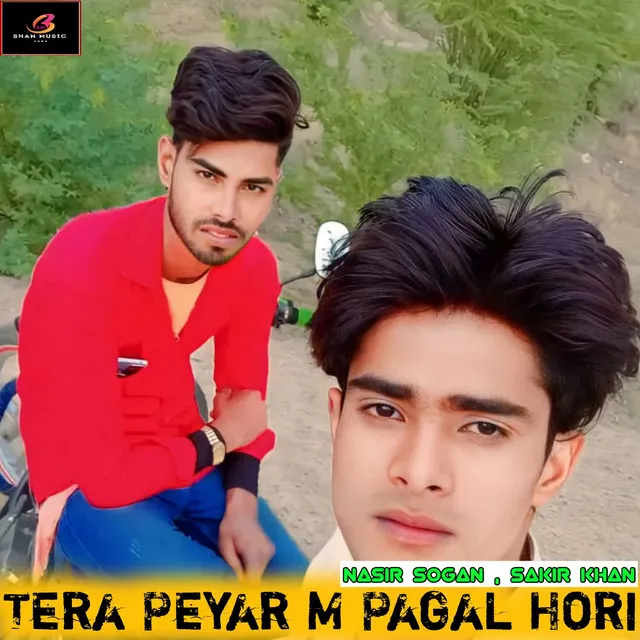 Tera Peyar M Pagal Hori