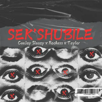 Sek'shubile by CeeJay Sleazy