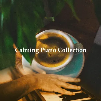 Calming Piano Collection by Relaxing Collection