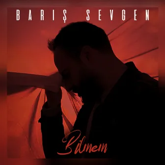 Bilmem by Barış Sevgen