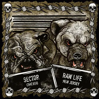 Sector (Chicago) / Raw Life (New Jersey) by Sector