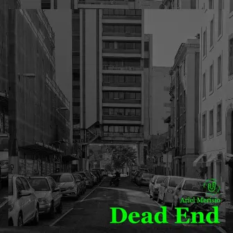 Dead End by Ariel Merisio