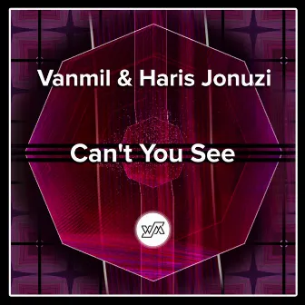 Can't You See by Vanmil